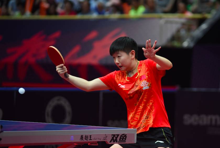 应适应新的 应适应新的